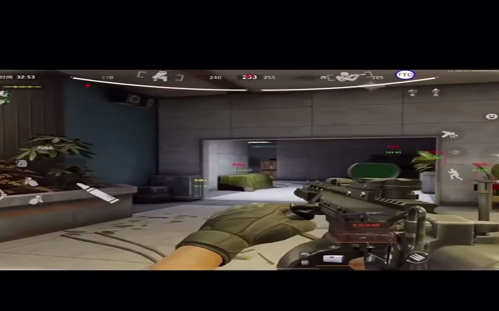 陈皮可以和桑葚一起泡吗